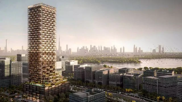 The Symphony by Imtiaz